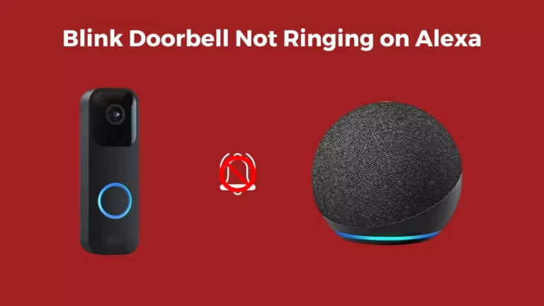Blink Doorbell Not Ringing on Alexa (Try These 7 Fixes)