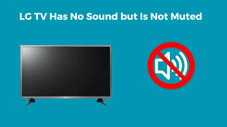 LG TV Has No Sound but Is Not Muted (Ouick Fixed)